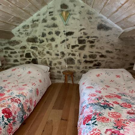 Petite Maison Conjat Saint-Julien-le-Petit Kültér fotó